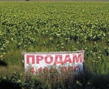 Купувати пайову землю мають тільки українці і тільки фізичні особи, – Кутовий